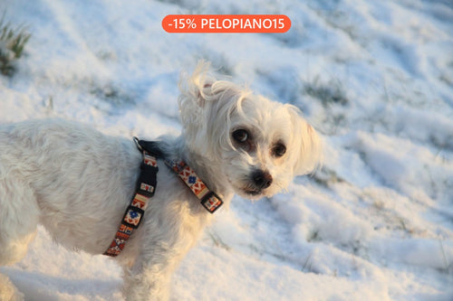 Pettorina Pelle Boho
